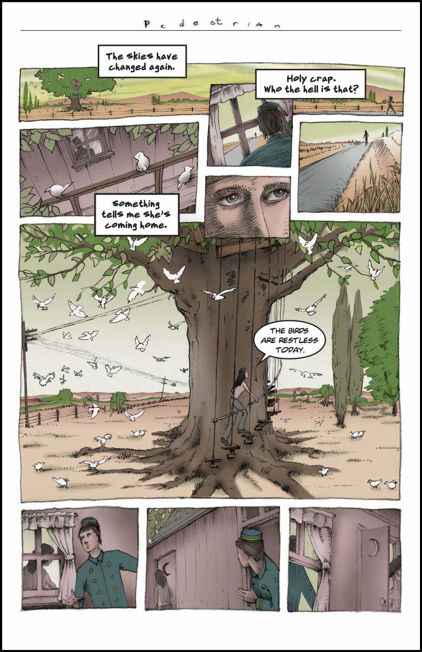 Pedestrian An Inside Look 2